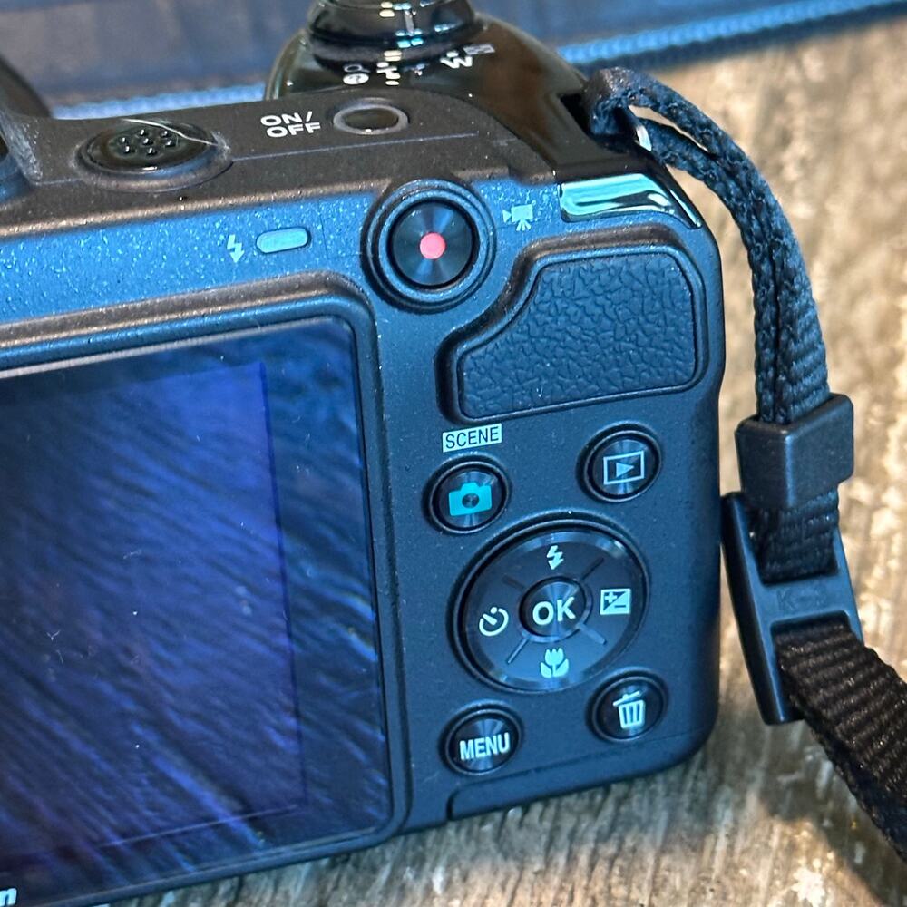 Nikon CoolPix L320 Digital Camera 16.1MP 26X Black Case Strap - Picture 6 of 10